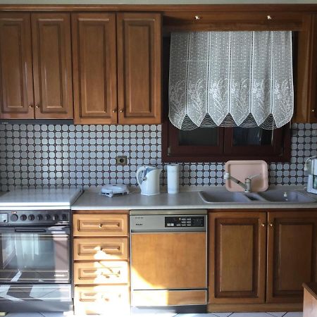 PalaiónTsiflíkion Beautiful Home By The Sea מראה חיצוני תמונה