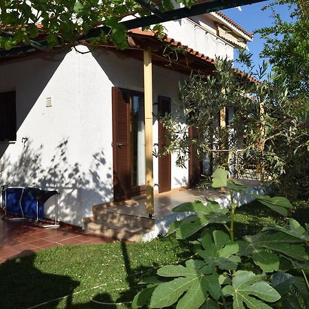 PalaiónTsiflíkion Beautiful Home By The Sea מראה חיצוני תמונה